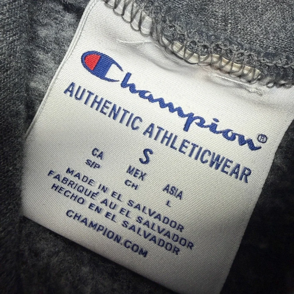 Champion UCSC Santa Cruz Hoodie‎ Mens Small Gray Y2K Collegiate Sweatshirt